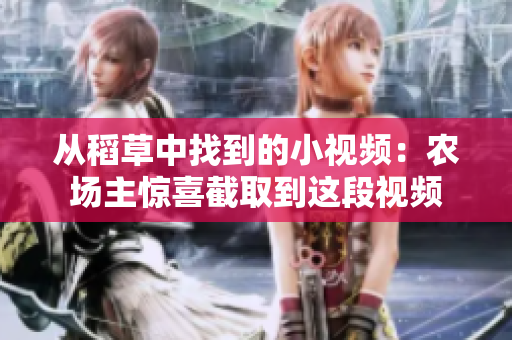 從稻草中找到的小視頻：農(nóng)場主驚喜截取到這段視頻