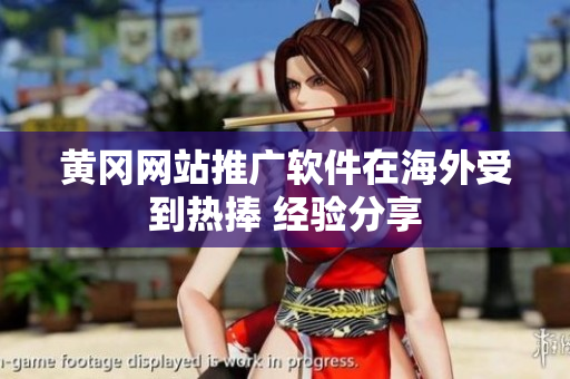 黃岡網(wǎng)站推廣軟件在海外受到熱捧 經(jīng)驗(yàn)分享