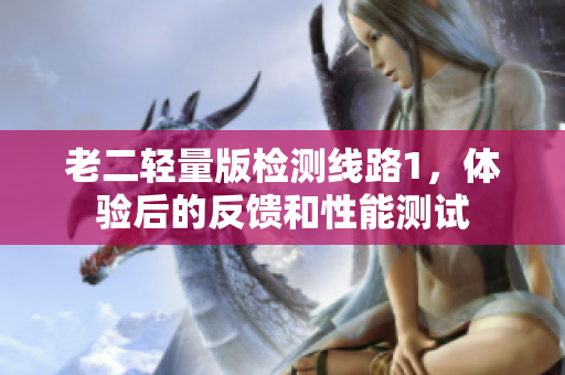 老二輕量版檢測線路1，體驗后的反饋和性能測試