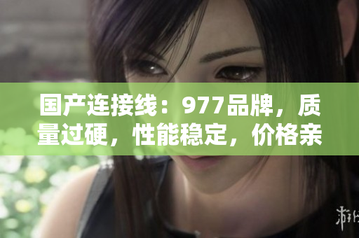 國產(chǎn)連接線：977品牌，質(zhì)量過硬，性能穩(wěn)定，價格親民