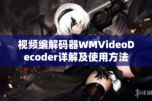視頻編解碼器WMVideoDecoder詳解及使用方法