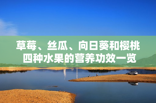 草莓、絲瓜、向日葵和櫻桃 四種水果的營養(yǎng)功效一覽