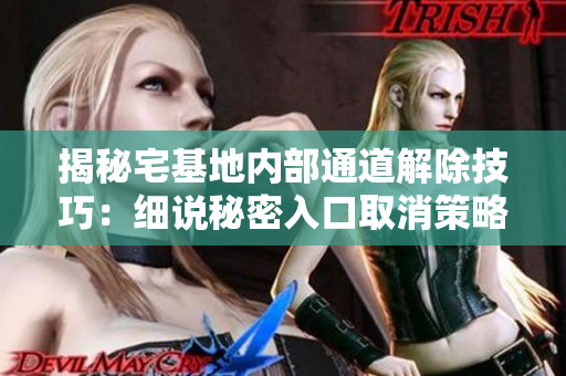 揭秘宅基地內(nèi)部通道解除技巧：細(xì)說秘密入口取消策略