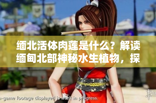 緬北活體肉蓮是什么？解讀緬甸北部神秘水生植物，探尋其神奇之處