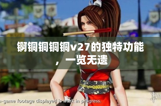 錒銅銅銅銅v27的獨(dú)特功能，一覽無遺