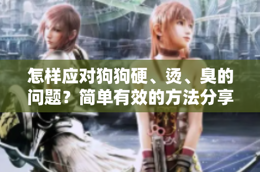 怎樣應(yīng)對(duì)狗狗硬、燙、臭的問題？簡單有效的方法分享