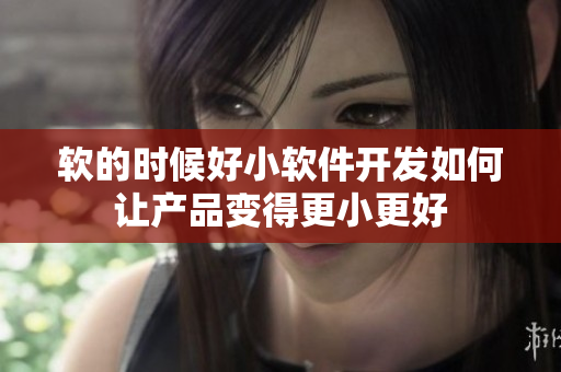 軟的時(shí)候好小軟件開發(fā)如何讓產(chǎn)品變得更小更好