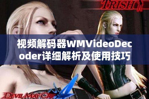 視頻解碼器WMVideoDecoder詳細解析及使用技巧分享