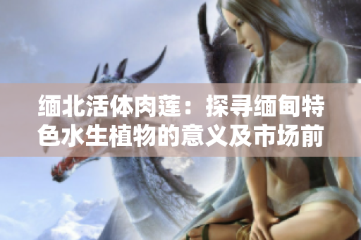 緬北活體肉蓮：探尋緬甸特色水生植物的意義及市場(chǎng)前景
