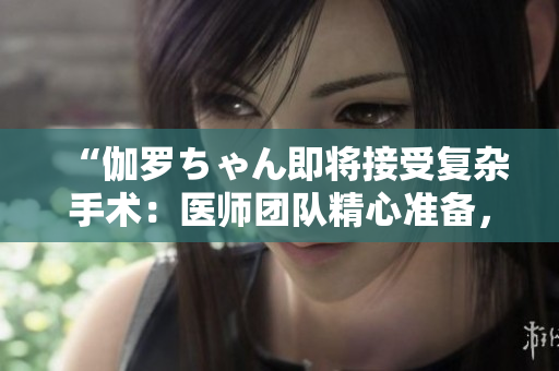 “伽羅ちゃん即將接受復雜手術：醫(yī)師團隊精心準備，力求確保成功與安全”