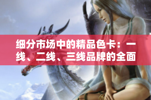 細(xì)分市場(chǎng)中的精品色卡：一線、二線、三線品牌的全面比較