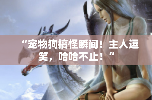 “寵物狗搞怪瞬間！主人逗笑，哈哈不止！”