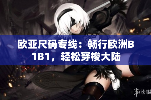 歐亞尺碼專線：暢行歐洲B1B1，輕松穿梭大陸