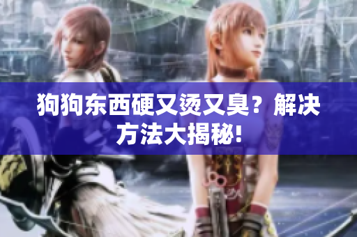 狗狗東西硬又燙又臭？解決方法大揭秘!