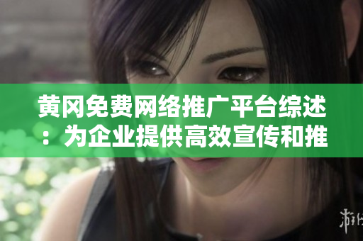 黃岡免費網(wǎng)絡推廣平臺綜述：為企業(yè)提供高效宣傳和推廣服務