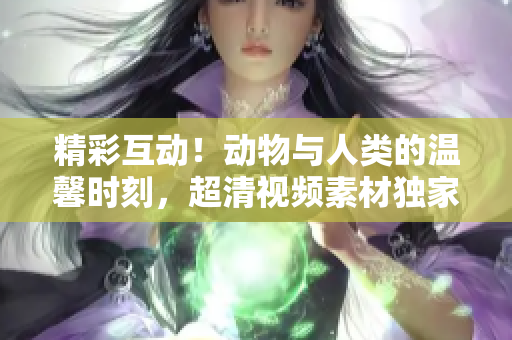 精彩互動(dòng)！動(dòng)物與人類的溫馨時(shí)刻，超清視頻素材獨(dú)家提供