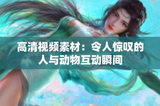 高清視頻素材：令人驚嘆的人與動物互動瞬間