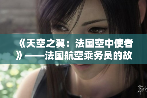 《天空之翼：法國空中使者》——法國航空乘務(wù)員的故事