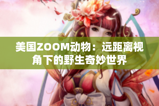 美國ZOOM動物：遠(yuǎn)距離視角下的野生奇妙世界