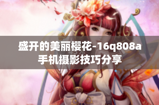 盛開(kāi)的美麗櫻花-16q808a手機(jī)攝影技巧分享