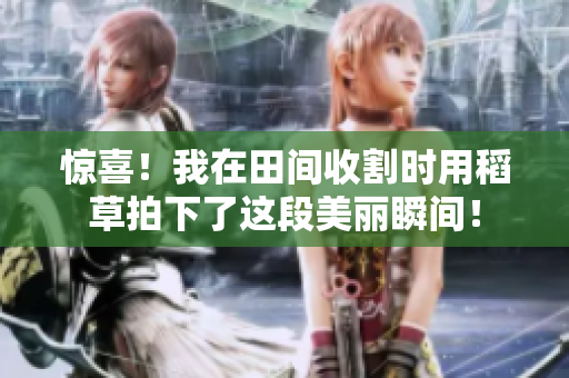 驚喜！我在田間收割時(shí)用稻草拍下了這段美麗瞬間！