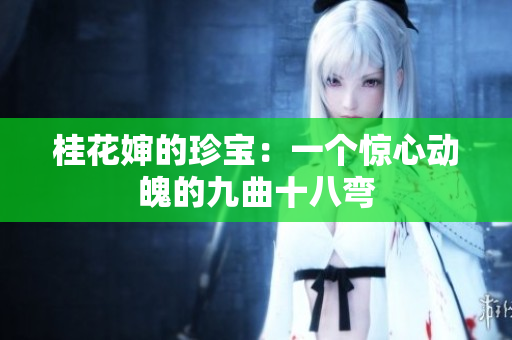 桂花嬸的珍寶：一個(gè)驚心動(dòng)魄的九曲十八彎