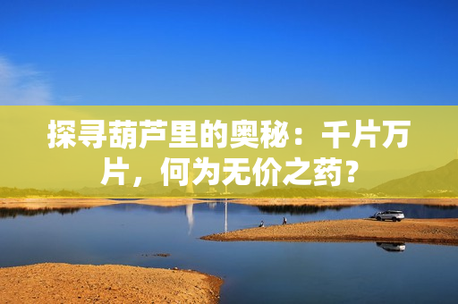 探尋葫蘆里的奧秘：千片萬片，何為無價之藥？