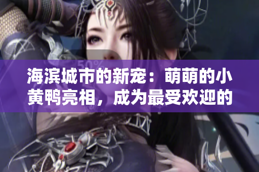 海濱城市的新寵：萌萌的小黃鴨亮相，成為最受歡迎的網(wǎng)紅景點(diǎn)