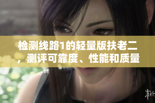 檢測線路1的輕量版扶老二，測評(píng)可靠度、性能和質(zhì)量