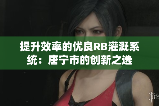 提升效率的優(yōu)良RB灌溉系統(tǒng)：唐寧市的創(chuàng)新之選