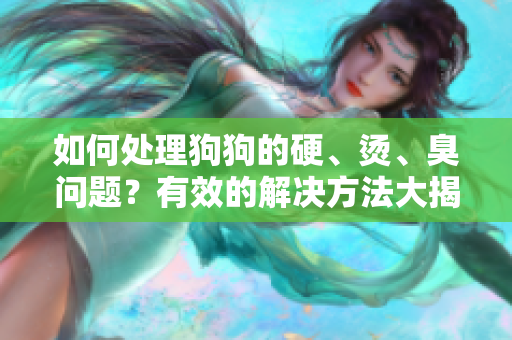 如何處理狗狗的硬、燙、臭問(wèn)題？有效的解決方法大揭秘!