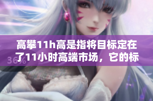 高攀11h高是指將目標定在了11小時高端市場，它的標桿是什么？