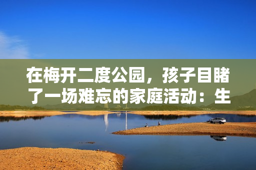 在梅開二度公園，孩子目睹了一場難忘的家庭活動：生活的溫暖和歡樂