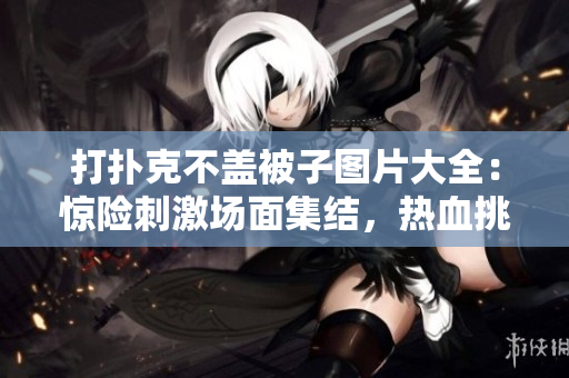 打撲克不蓋被子圖片大全：驚險(xiǎn)刺激場(chǎng)面集結(jié)，熱血挑戰(zhàn)等你體驗(yàn)