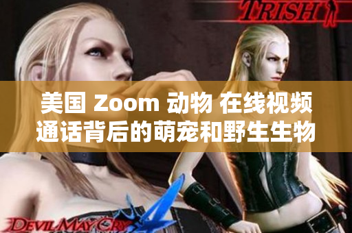 美國 Zoom 動物 在線視頻通話背后的萌寵和野生生物