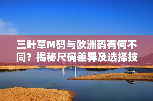 三葉草M碼與歐洲碼有何不同？揭秘尺碼差異及選擇技巧