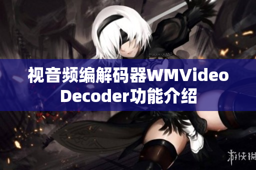 視音頻編解碼器WMVideoDecoder功能介紹