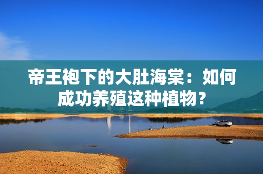 帝王袍下的大肚海棠：如何成功養(yǎng)殖這種植物？