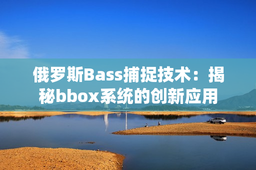 俄羅斯Bass捕捉技術(shù)：揭秘bbox系統(tǒng)的創(chuàng)新應(yīng)用