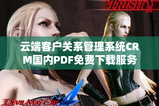 云端客戶關(guān)系管理系統(tǒng)CRM國(guó)內(nèi)PDF免費(fèi)下載服務(wù)