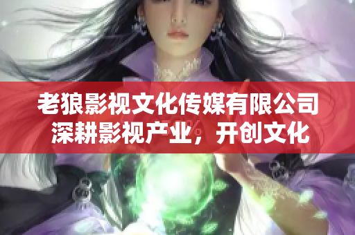 老狼影視文化傳媒有限公司 深耕影視產(chǎn)業(yè)，開創(chuàng)文化傳媒新篇章