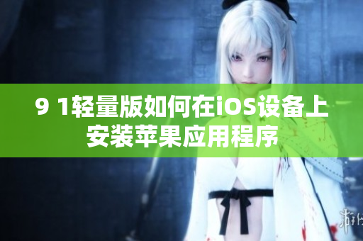 9 1輕量版如何在iOS設(shè)備上安裝蘋果應(yīng)用程序