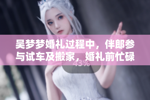 吳夢(mèng)夢(mèng)婚禮過程中，伴郎參與試車及搬家，婚禮前忙碌著準(zhǔn)備。