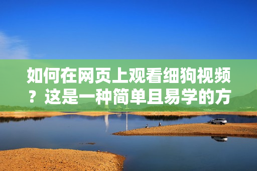 如何在網(wǎng)頁(yè)上觀看細(xì)狗視頻？這是一種簡(jiǎn)單且易學(xué)的方法