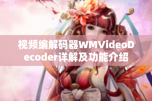 視頻編解碼器WMVideoDecoder詳解及功能介紹