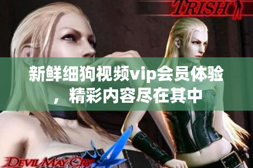 新鮮細(xì)狗視頻vip會(huì)員體驗(yàn)，精彩內(nèi)容盡在其中