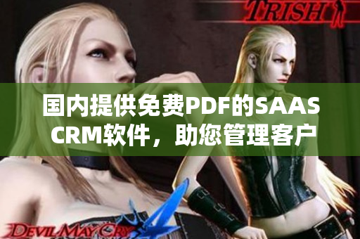 國內提供免費PDF的SAAS CRM軟件，助您管理客戶關系 