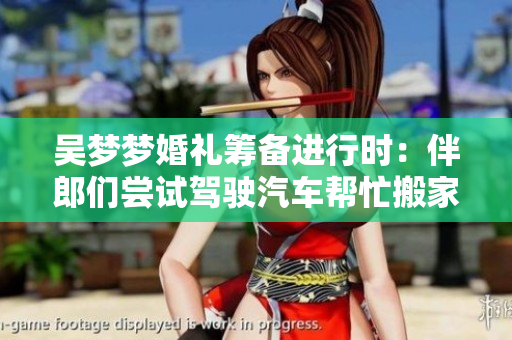 吳夢(mèng)夢(mèng)婚禮籌備進(jìn)行時(shí)：伴郎們嘗試駕駛汽車幫忙搬家
