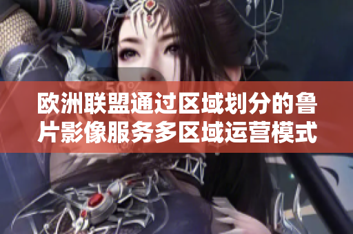 歐洲聯(lián)盟通過區(qū)域劃分的魯片影像服務(wù)多區(qū)域運(yùn)營模式