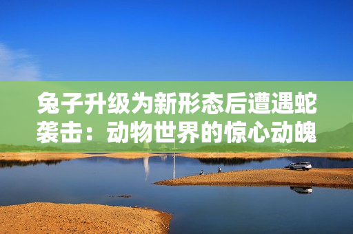 兔子升級為新形態(tài)后遭遇蛇襲擊：動物世界的驚心動魄時刻